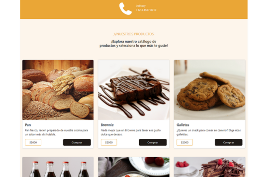 Galería Proyecto 2 - Imagen 7